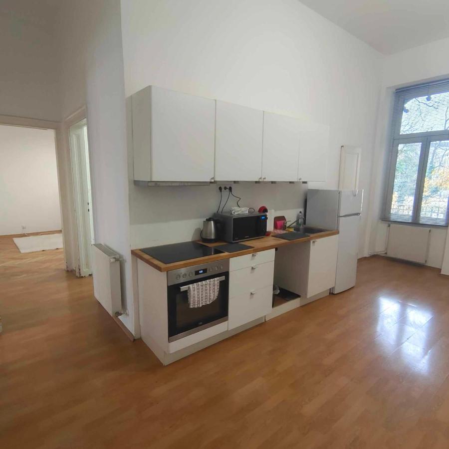 Large 4 Room Apartment In The Center Of Vienna Esterno foto