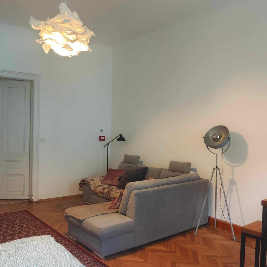 Large 4 Room Apartment In The Center Of Vienna Esterno foto